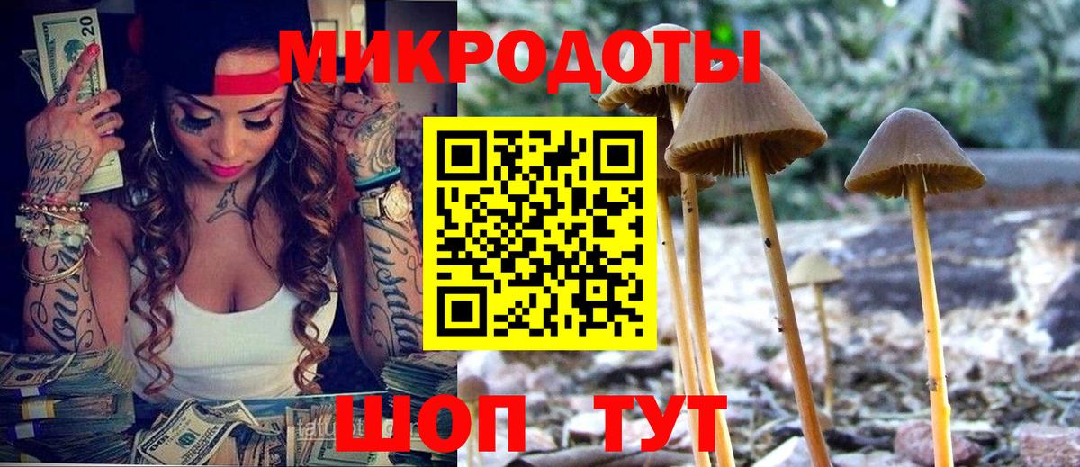 Галлюциногенные грибы мухоморы Артёмовский